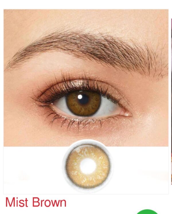 magister lenses - Image 6